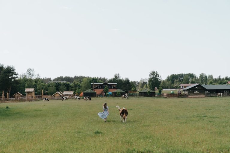 Как выбрать подрядчика для строительства дома с бассейном в Ступино